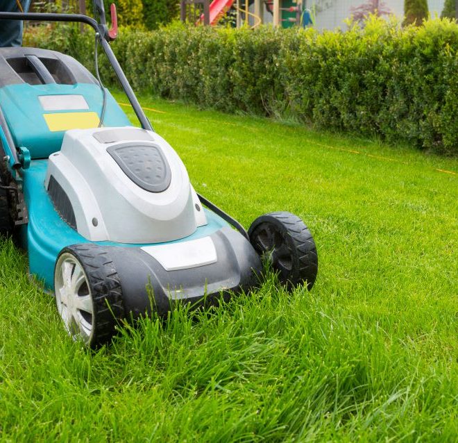 Itzhome Chiswick Gardening Work Opportunities