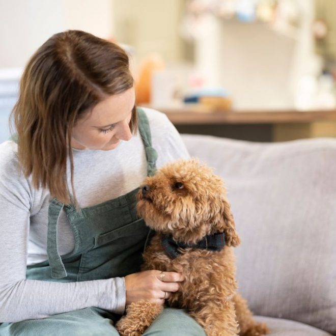 Itzhome Dundee and Perth Pet Sitting