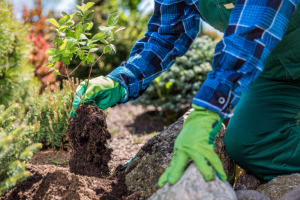 Itzhome York Gardening Work Opportunities