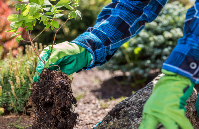 Itzhome Dundee and Perth Gardening Work Opportunit...