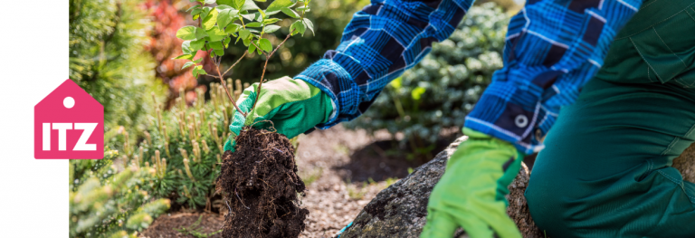 Itzhome Dundee and Perth Gardening Work Opportunities