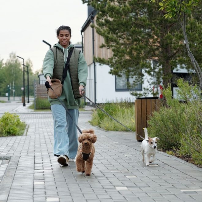 Itzhome York Pet Sitting Work Opportunities