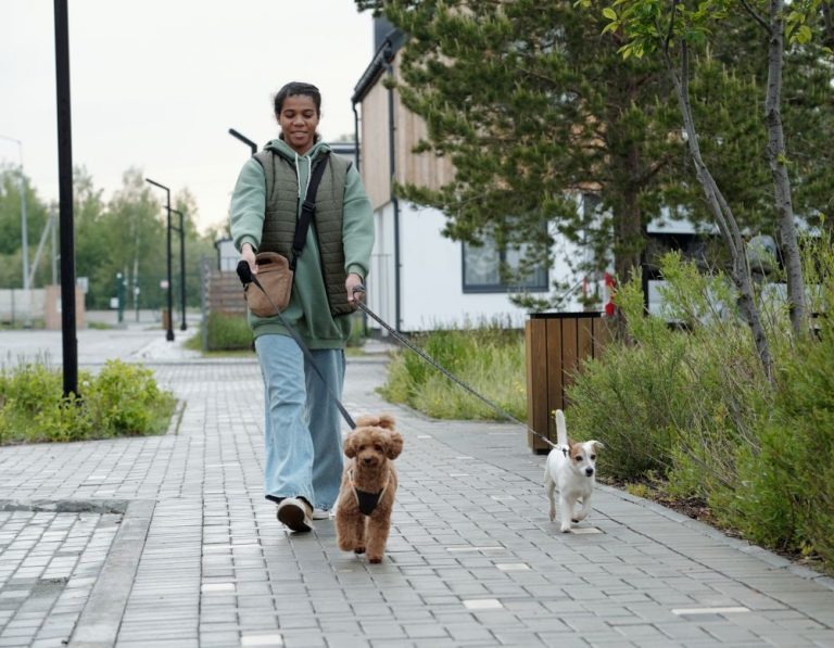 Itzhome Leeds Pet Sitting Work Opportunities