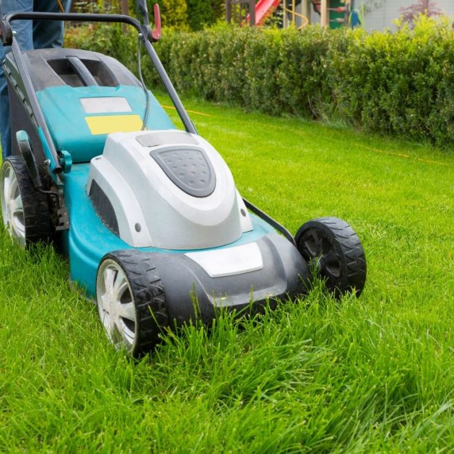 Itzhome Barnet & Enfield Gardening Services