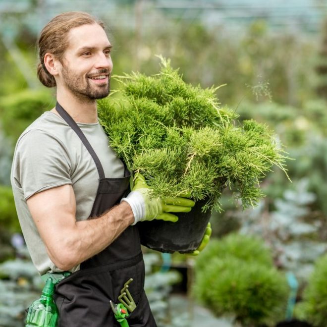 Itzhome Hammersmith Gardening Services