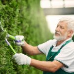 Itzhome Hampstead Gardening Services