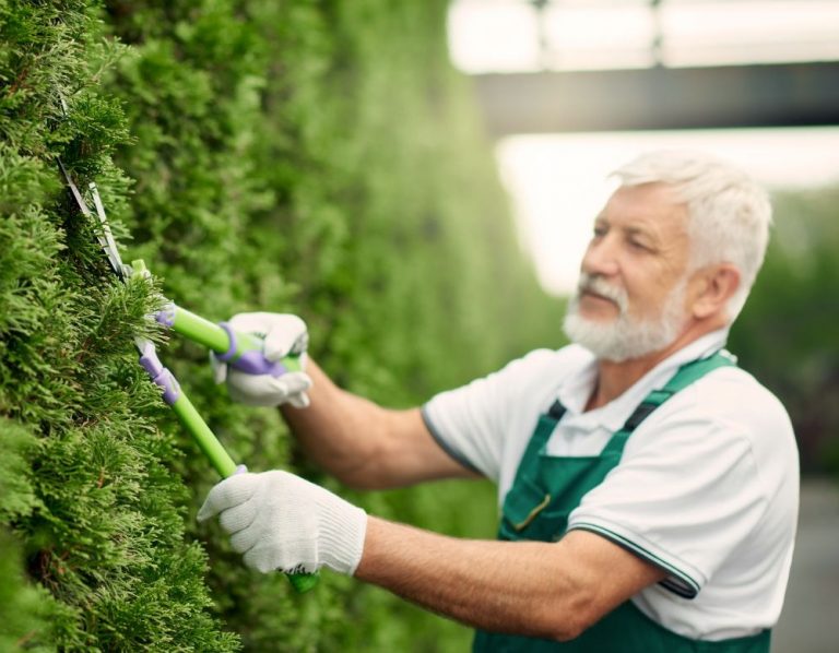 Itzhome Hampstead Gardening Services