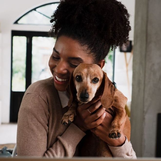 Itzhome Hampstead Pet Sitting Services