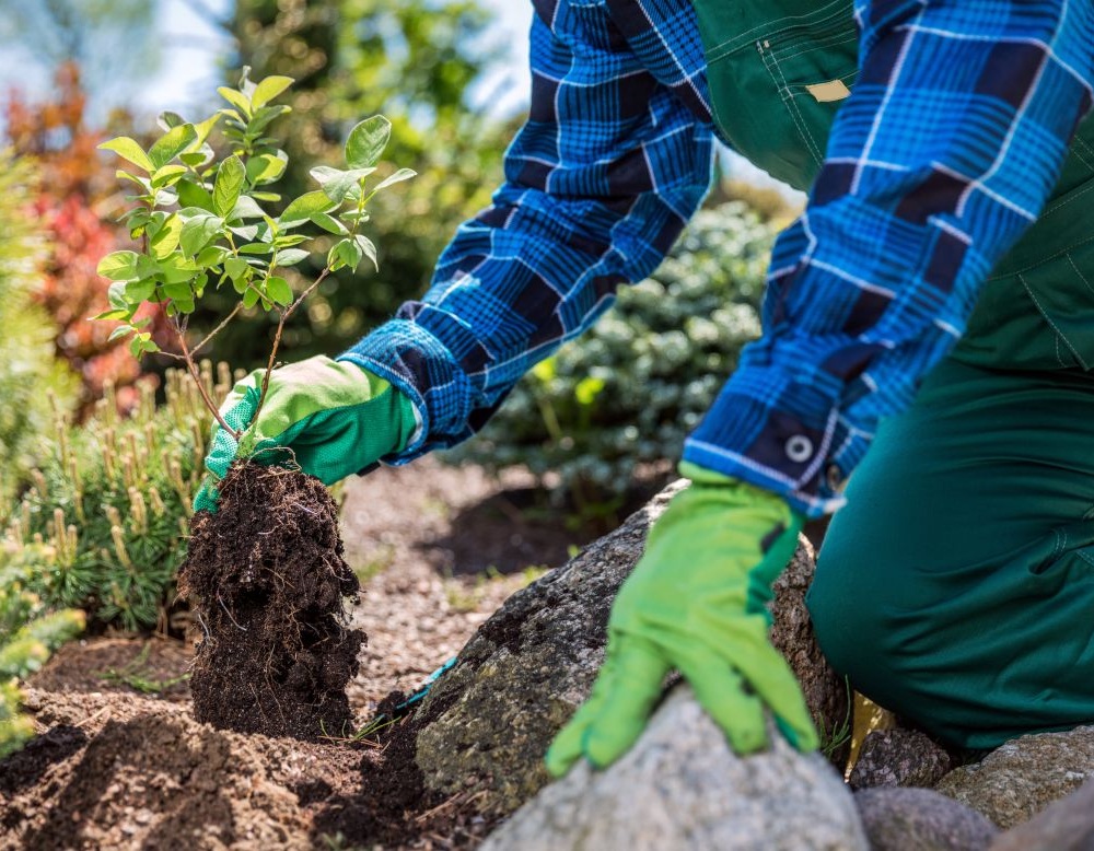 Gardening Services Hounslow
