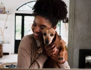 Itzhome Solihull Pet Sitting Services