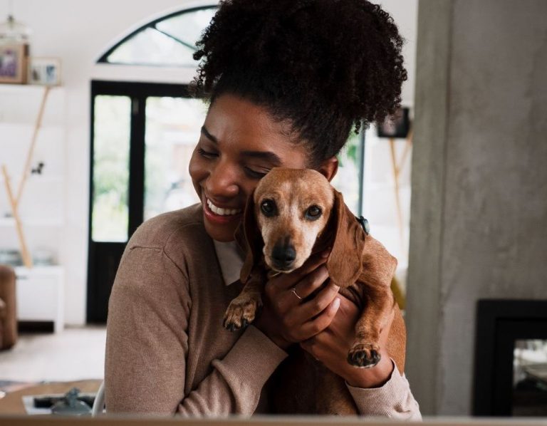 Itzhome Solihull Pet Sitting Services