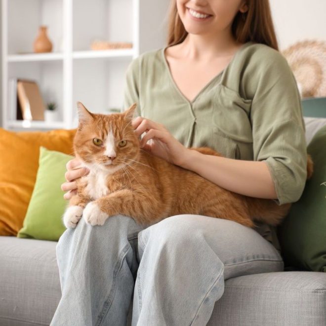 Itzhome Uxbridge Pet Sitting Services
