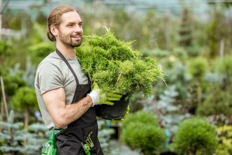 Itzhome West Lancashire Gardening Services