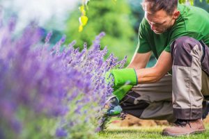 Itzhome York Gardening Services