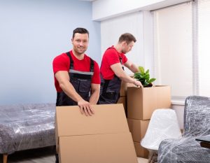 Itzhome Hertford and Biggleswade and Royston Moving Home Services