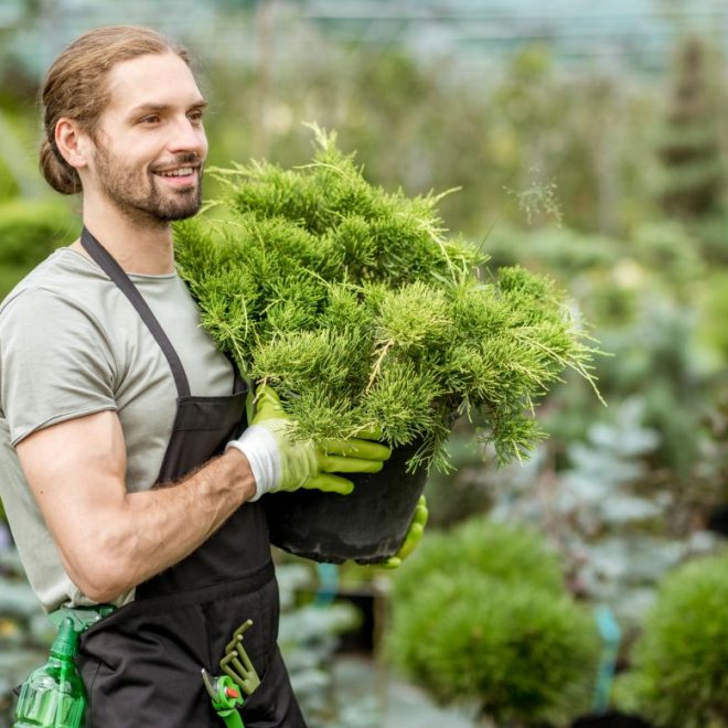 Itzhome Northampton Gardening Services