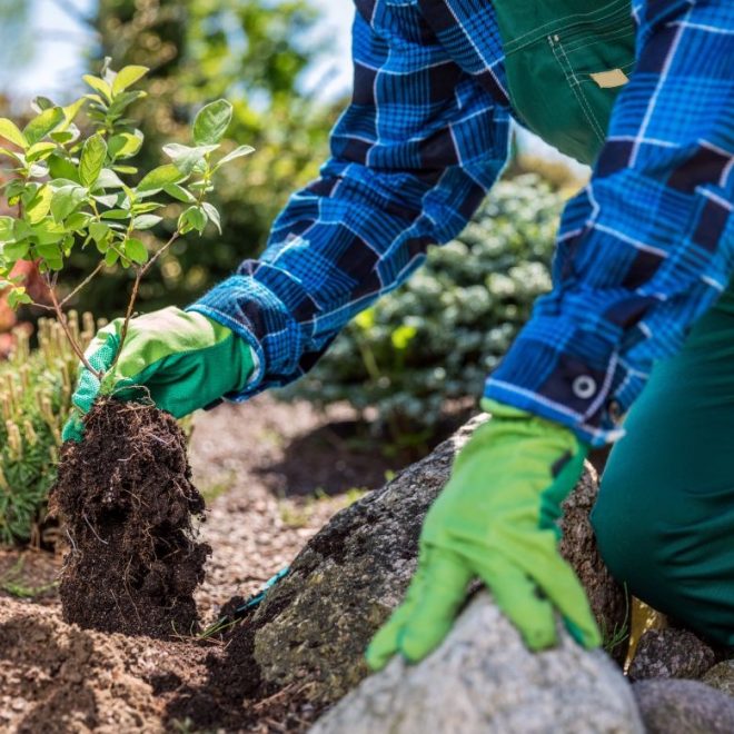 Itzhome Peak-District Gardening Services