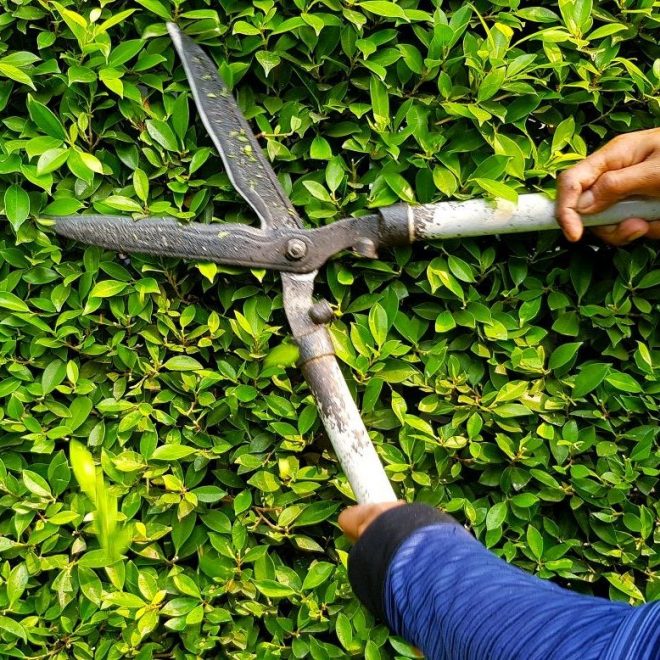 Itzhome Southend Gardening Services