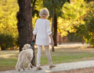 Itzhome Bournemouth Pet Sitting Services