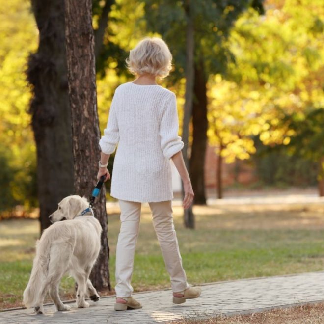 Itzhome Bournemouth Pet Sitting Services