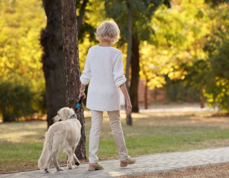 Itzhome Bournemouth Pet Sitting Services