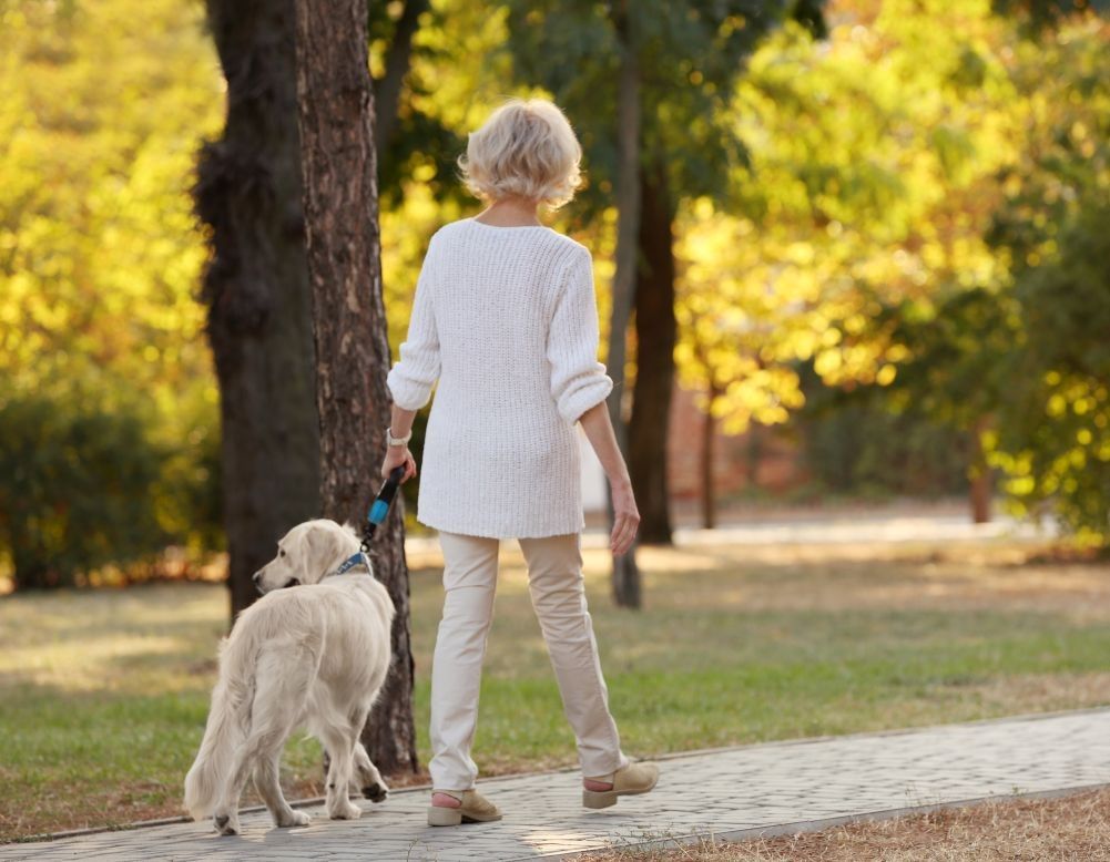 Bournemouth Pet Sitting Services