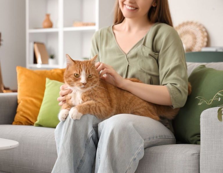 Itzhome Kingston Pet Sitting Services