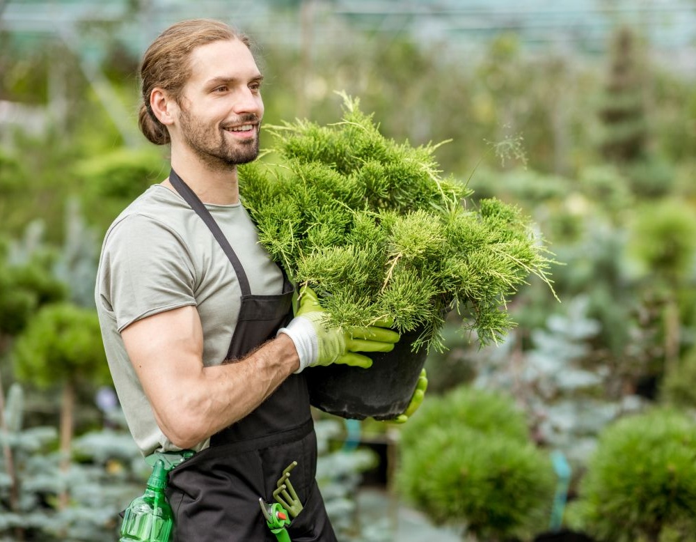 Wirral Gardening Professionals