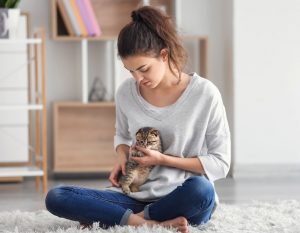 Itzhome York Pet Sitting Services